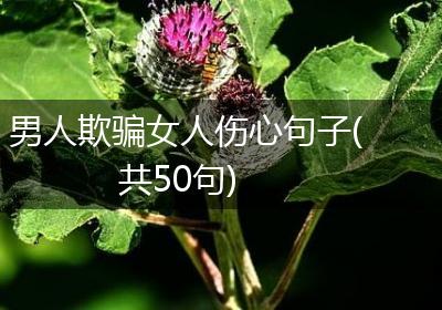 男人欺骗女人伤心句子(共50句)