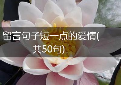 留言句子短一点的爱情(共50句)