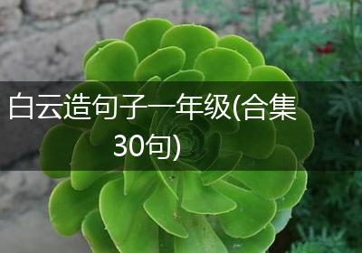 白云造句子一年级(合集30句)