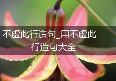 不虚此行造句_用不虚此行造句大全