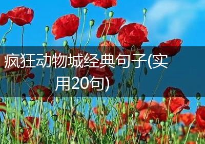 疯狂动物城经典句子(实用20句)