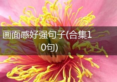 画面感好强句子(合集10句)