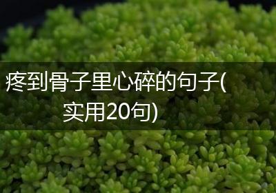 疼到骨子里心碎的句子(实用20句)
