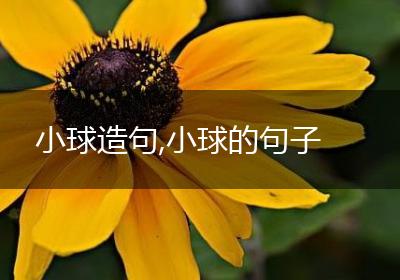 小球造句,小球的句子