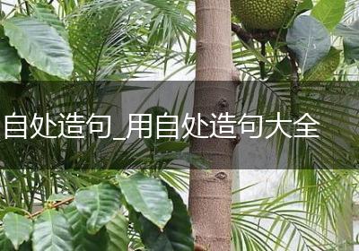 自处造句_用自处造句大全