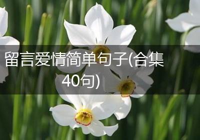 留言爱情简单句子(合集40句)