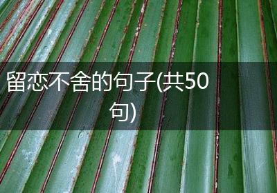 留恋不舍的句子(共50句)