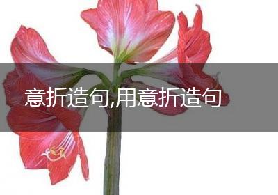 意折造句,用意折造句