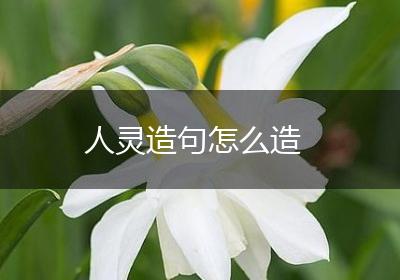 人灵造句怎么造