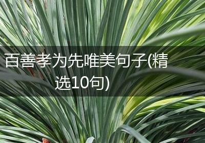 百善孝为先唯美句子(精选10句)