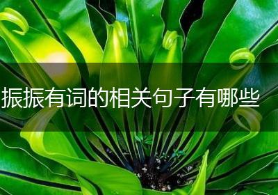 振振有词的相关句子有哪些