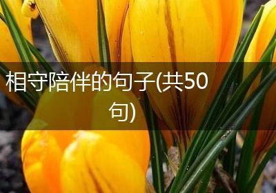 相守陪伴的句子(共50句)