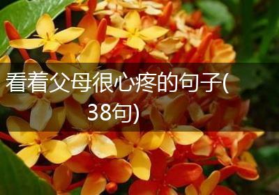 看着父母很心疼的句子(38句)