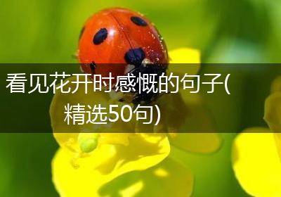 看见花开时感慨的句子(精选50句)