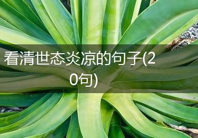 看清世态炎凉的句子(20句)
