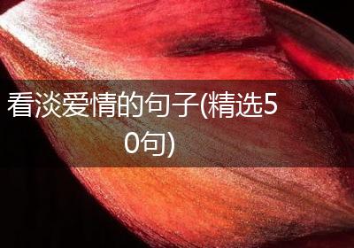 看淡爱情的句子(精选50句)