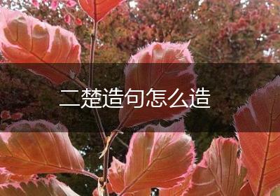 二楚造句怎么造