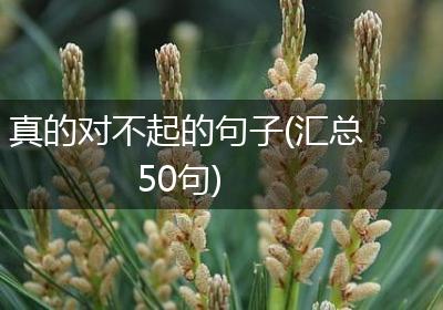 真的对不起的句子(汇总50句)