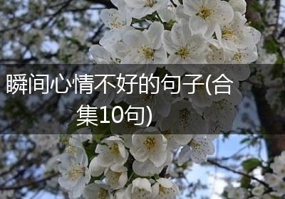 瞬间心情不好的句子(合集10句)