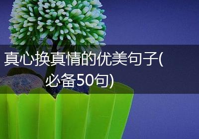 真心换真情的优美句子(必备50句)