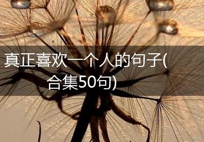 真正喜欢一个人的句子(合集50句)