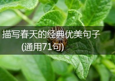 描写春天的经典优美句子(通用71句)