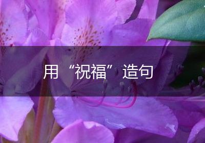 用“祝福”造句