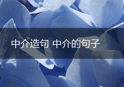 中介造句 中介的句子