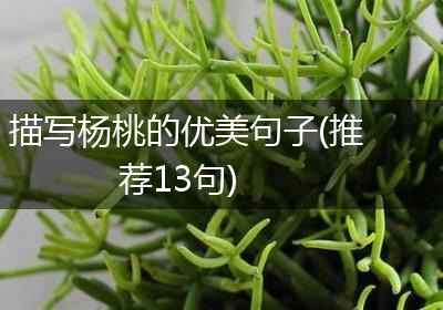 描写杨桃的优美句子(推荐13句)