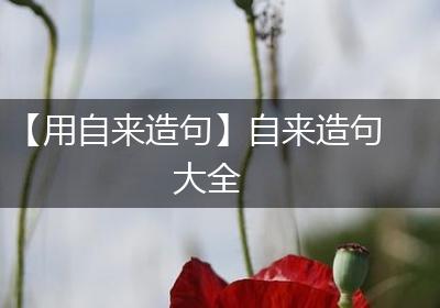 【用自来造句】自来造句大全
