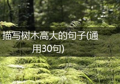 描写树木高大的句子(通用30句)