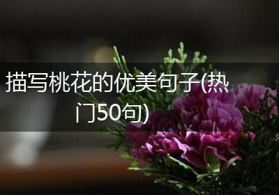 描写桃花的优美句子(热门50句)