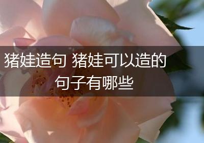 猪娃造句 猪娃可以造的句子有哪些