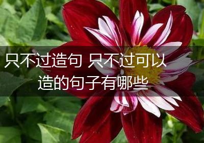 只不过造句 只不过可以造的句子有哪些