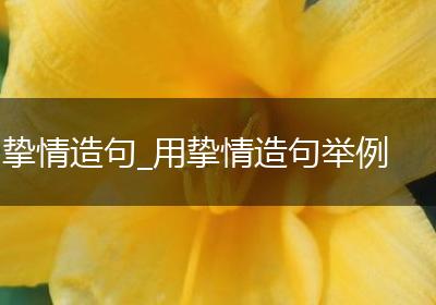 挚情造句_用挚情造句举例
