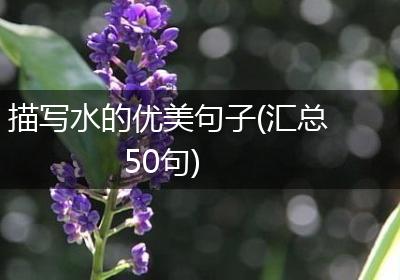 描写水的优美句子(汇总50句)