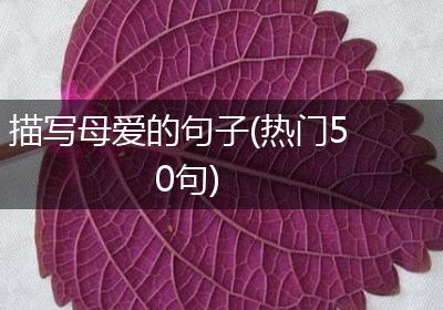 描写母爱的句子(热门50句)
