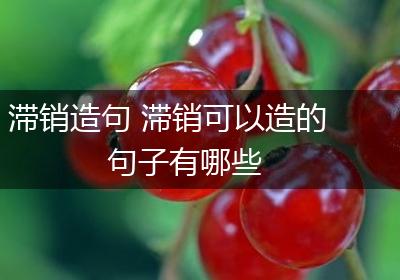 滞销造句 滞销可以造的句子有哪些
