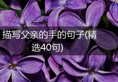 描写父亲的手的句子(精选40句)
