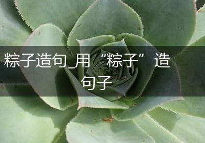 粽子造句_用“粽子”造句子