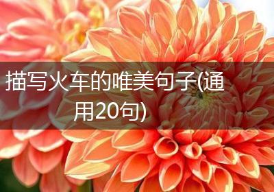描写火车的唯美句子(通用20句)