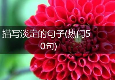 描写淡定的句子(热门50句)