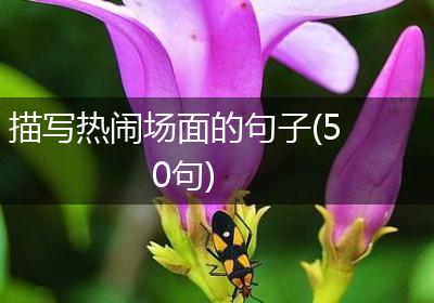 描写热闹场面的句子(50句)