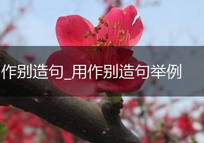 作别造句_用作别造句举例