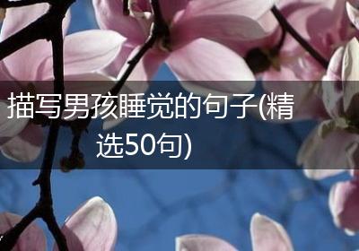 描写男孩睡觉的句子(精选50句)