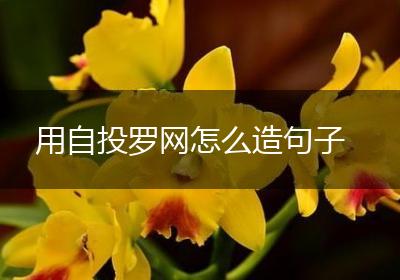 用自投罗网怎么造句子