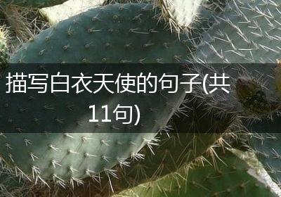描写白衣天使的句子(共11句)