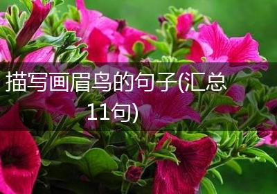描写画眉鸟的句子(汇总11句)