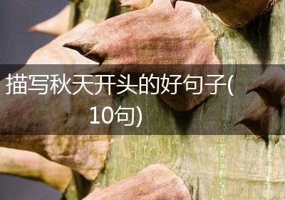 描写秋天开头的好句子(10句)