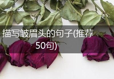 描写皱眉头的句子(推荐50句)